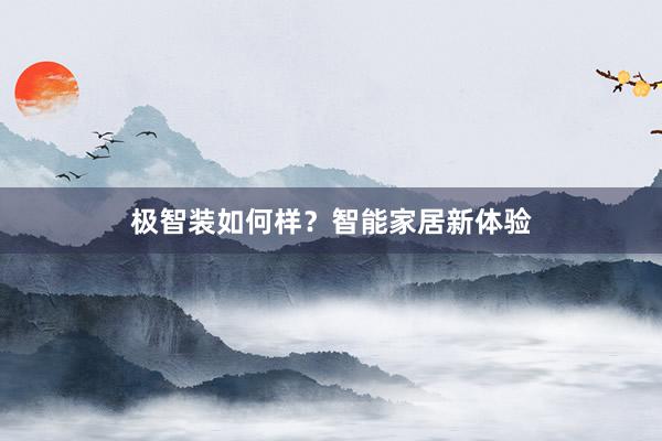 极智装如何样？智能家居新体验