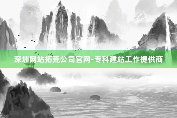 深圳网站拓荒公司官网-专科建站工作提供商