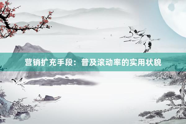 营销扩充手段：普及滚动率的实用状貌