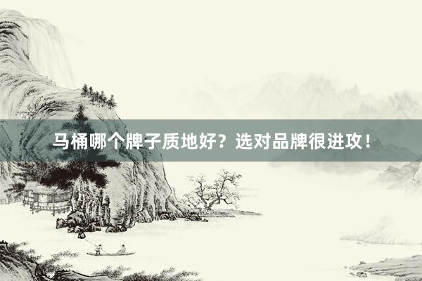 马桶哪个牌子质地好？选对品牌很进攻！